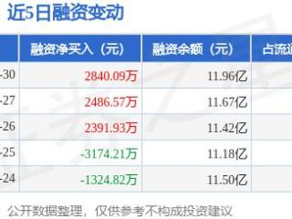 大智慧：12月30日融资净买入2840.09万元，连续3日累计净买入7718.59万元