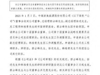 新集能源：关于董事、高级管理人员辞职的公告