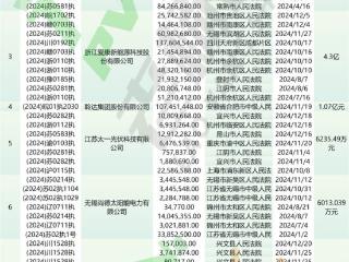 2024光伏老赖排行榜出炉！第一名执行高达24亿！看看谁家榜上有名？