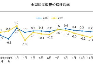 国家统计局：2024年12月份居民消费价格同比上涨0.1%，全年比上年上涨0.2%