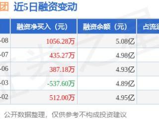 丽珠集团：1月8日融资净买入1056.28万元，连续3日累计净买入1878.74万元