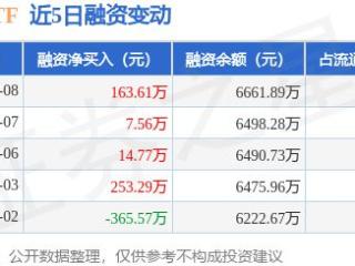 旅游ETF：1月8日融资净买入163.61万元，连续3日累计净买入185.93万元