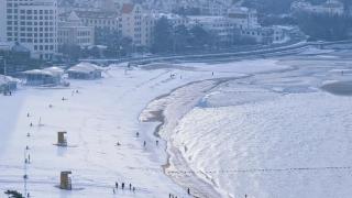 “雪窝”再发力！威海的雪又续上了！这里临时闭园