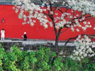 城市治理“闯”新路丨渝中区城市管理局局长越德川：打造超大城市中心城区现代化治理新高地