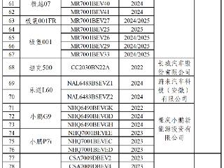 第二批汽车数据处理4项安全要求检测情况发布