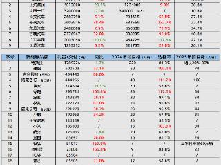 2024年车市收官成绩单：比亚迪增速领先 吉利新能源车占比超四成 特斯拉年销首次下滑