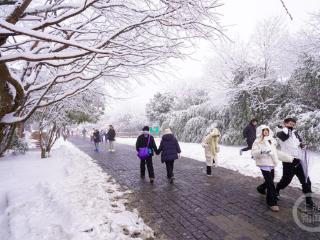 瑞雪迎客欢