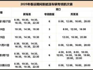 琼州海峡春运新能源车专班最新航班信息出炉