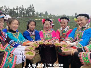 村超酱酒普安红 贵州人文新地标