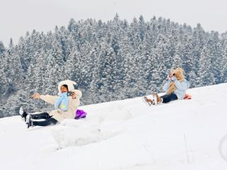 重庆酉阳：雪景上线