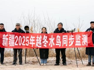 全国越冬水鸟同步监测小组在喀什市开展监测和调查活动