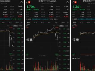 高溢价跨境ETF“爆炒”后降温，多只产品尾盘大跳水