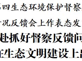 徐麟在中央第四生态环境保护督察组督察贵州省情况反馈会上作表态发言