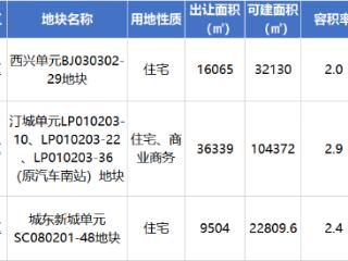 2025年杭州首批宅地挂牌 火热的安琪儿板块又上新