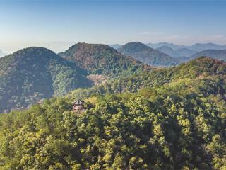 一座凤凰山，半部杭州史！宋高宗在这里建皇宫 白居易、苏东坡上山“打卡”上班