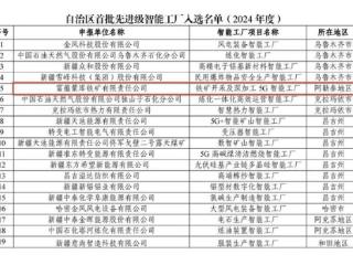 富蕴蒙库铁矿有限责任公司入选自治区首批先进级智能工厂名单