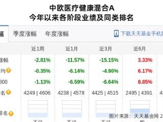 同仁堂大跌2.96%！中欧基金旗下1只基金持有