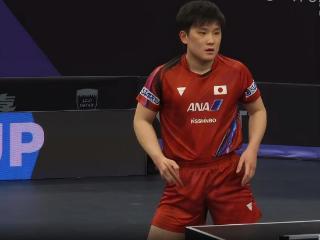 张本智和4-0横扫夺冠！林高远苦主无缘一黑到底，日本3冠力压国乒