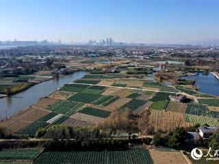 江西南昌：蔬菜基地绿意浓 春节供应有保障