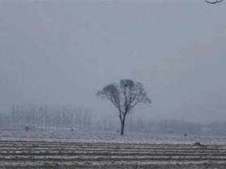 6年感情无疾而终，事业上也出岔子，辛芷蕾为何总是差点运气？