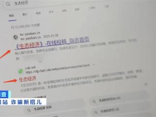 20元就能山寨官网！央视曝光克隆网站黑幕 专家教你如何辨别