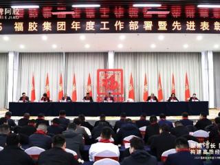 2025福胶集团年度工作部署暨先进表彰大会隆重召开