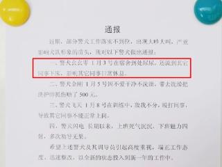 “上班死气沉沉，下班魅力四射”……云南楚雄4只警犬被通报引热议 警方回应