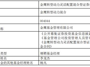 金鹰转型动力灵活配置混合增聘李龙杰 成立7年亏54%