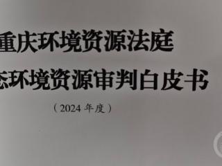 受理各类环境资源案件691件 重庆环境资源法庭一周年“成绩单”出炉