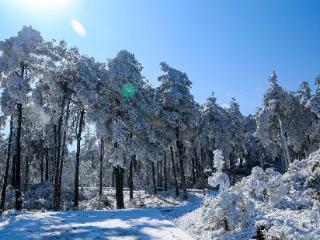 【贵州山居冬游记】玉舍雪山滑雪场：让冬日浪漫具象化！