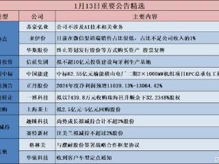 公告精选︱正丹股份：2024年度净利润预增11039.13%-13064.42%；苏豪弘业：公司不涉及AI技术相关业务