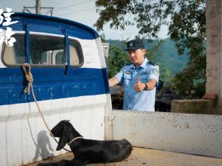 文汇·片场视听│《驻站》：一人一犬一站一村，小站何以见大地