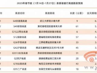 高德地图《2025春运出行预测报告》：错峰出行成新常态