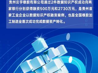 海报 | 贵州云宇橡胶数据“知产”融资超3000万元