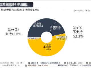 民调：尹锡悦支持率增至46%，接近历史最高纪录