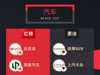 黑猫投诉12月发布：比亚迪零跑广汽占红榜 哈弗大众特斯拉屈黑榜