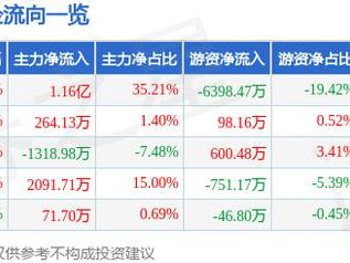 湖南天雁（600698）1月15日主力资金净买入1.16亿元