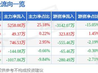 金瑞矿业（600714）1月15日主力资金净买入5258.00万元