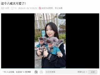 新华社美女记者分享《黑神话》八戒公仔：太可爱了！