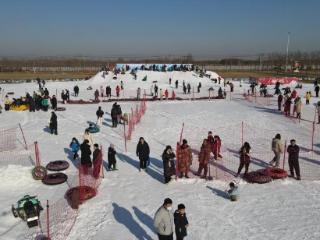 河北高碑店：冰雪运动激活寒冬健身热