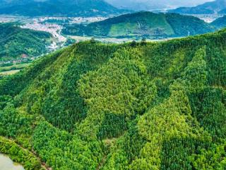 南平市绿发国有林场成为福建唯一一家纳入国家林场管理体系的设区市市属国有林场