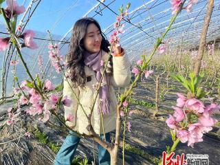 组图｜河北迁西：桃花朵朵开 香飘振兴路