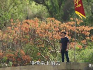 驻站：张彦斌升副所长，常胜成最大“受害者”？背后原因引人深思