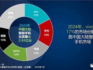 2024中国手机年度销量排名：vivo以17%份额夺魁 连续第4年国产第一 成功靠本分