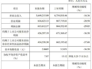 V观财报｜中国中免2024年净利润降超三成