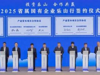 奋战“开门红”！54个项目集中签约、乐山揽金1031亿元