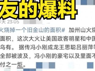 冯小刚7000万豪宅没被烧！自曝让幸灾乐祸的人失望了