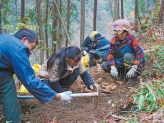 激活大山里的绿色宝库