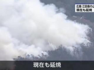 日本广岛县突发山火浓烟滚滚 或与自卫队训练有关