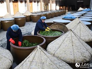 新春走基层丨一碟咸菜的“酸爽”传承